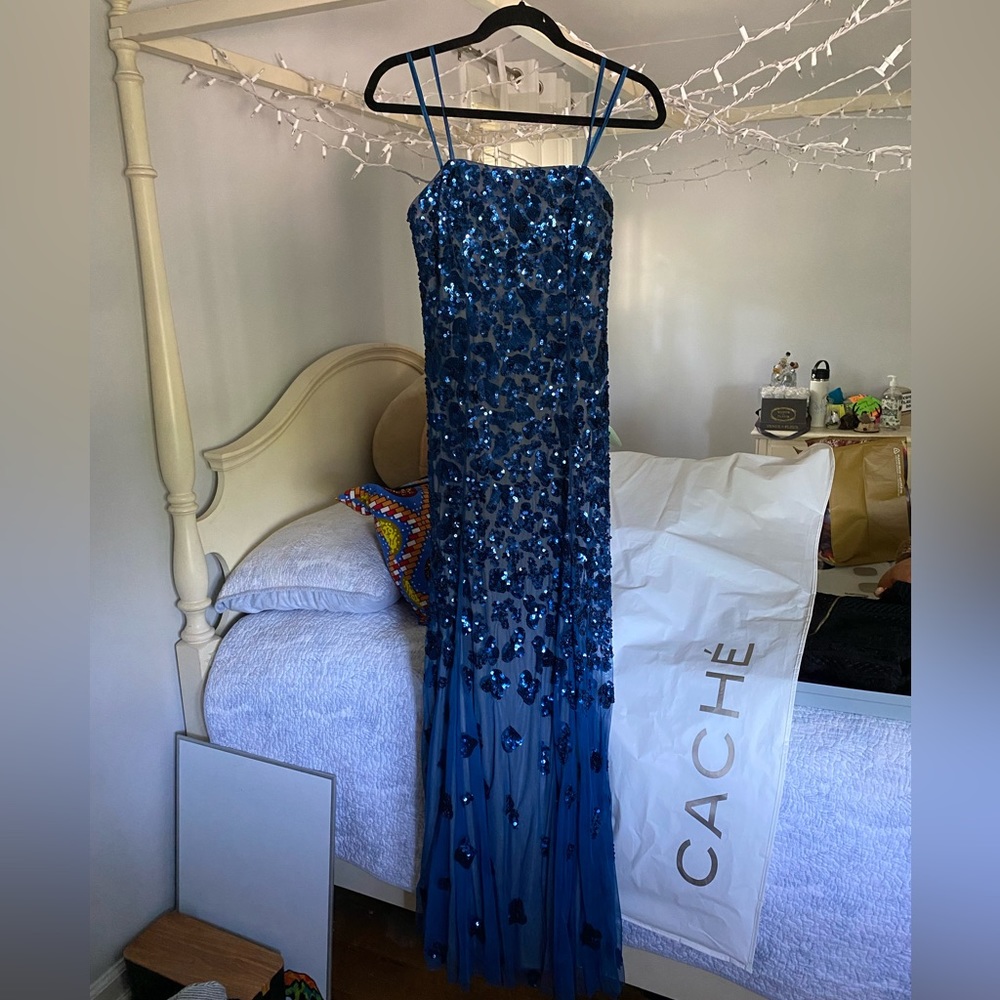 Beautiful Size 0 Caché Prom Dress Worn Once